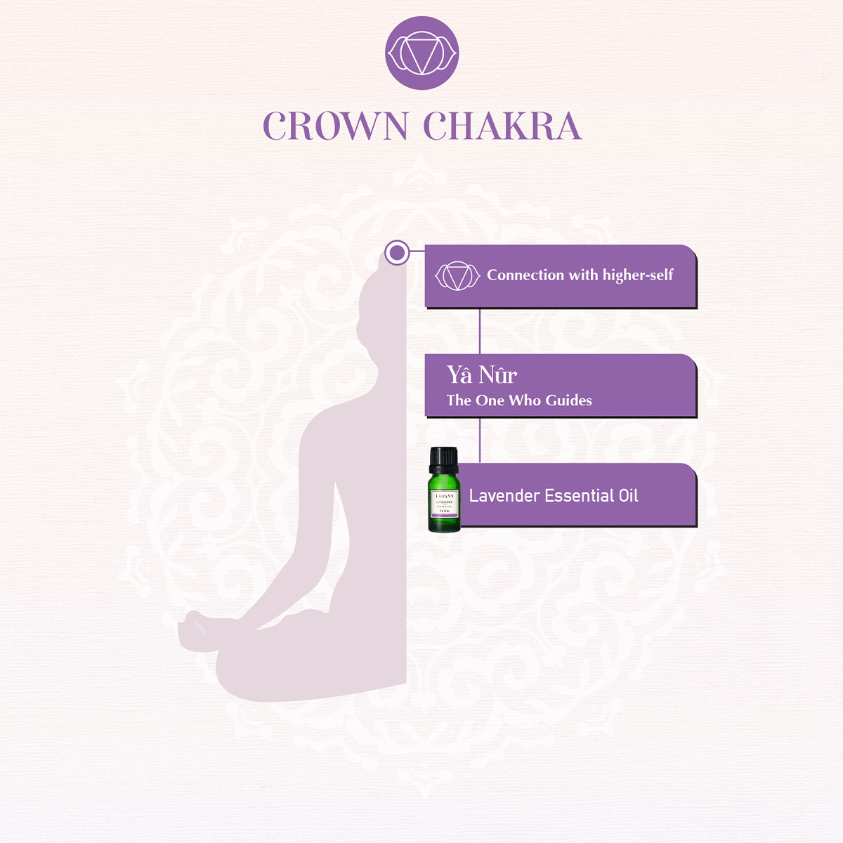 Esmâ'ül Hüsnâ – Yâ Nûr Lavendel etherische olie 10 ml