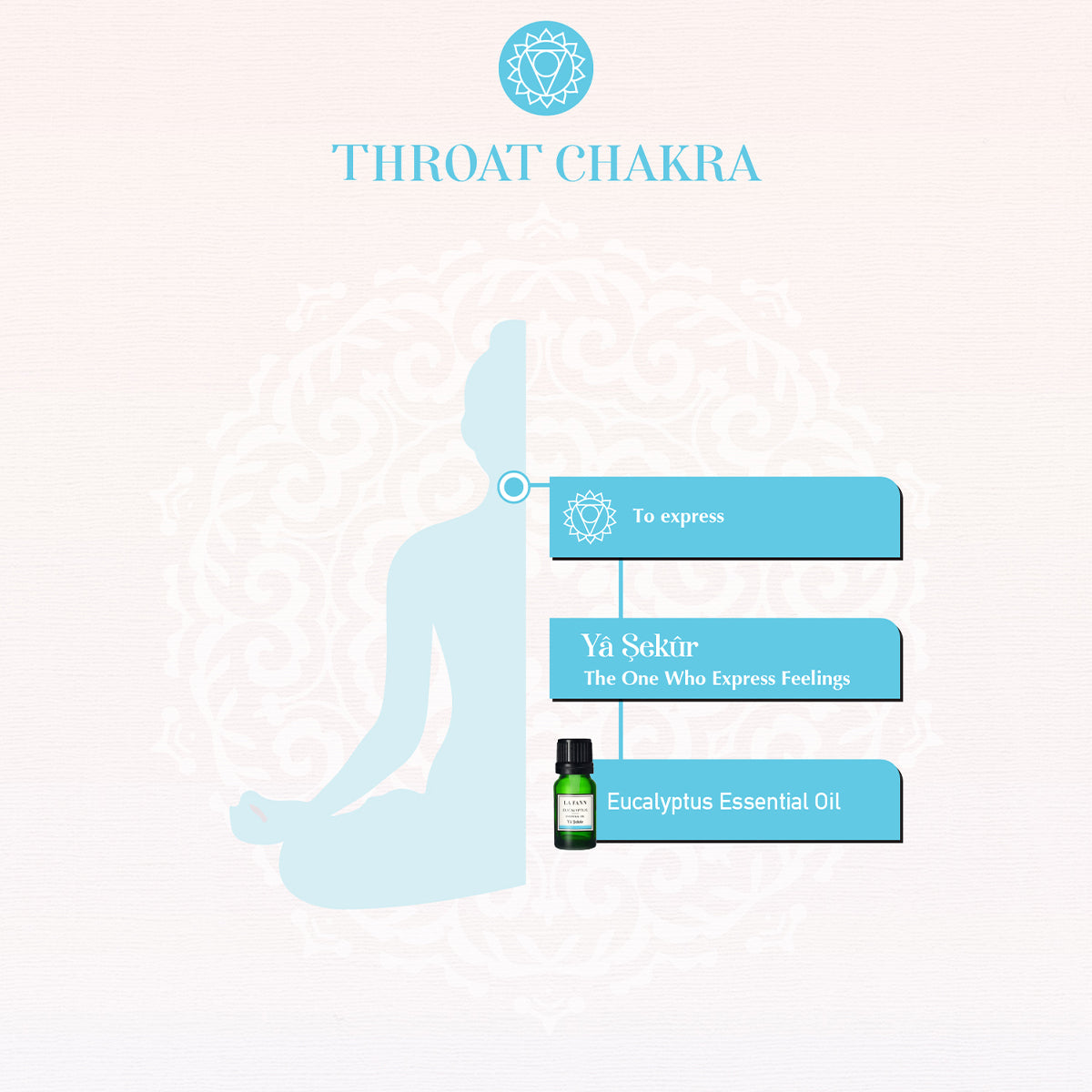 Esma'ül Hüsna – Yâ Şekûr Eucalyptus etherische olie 10ml